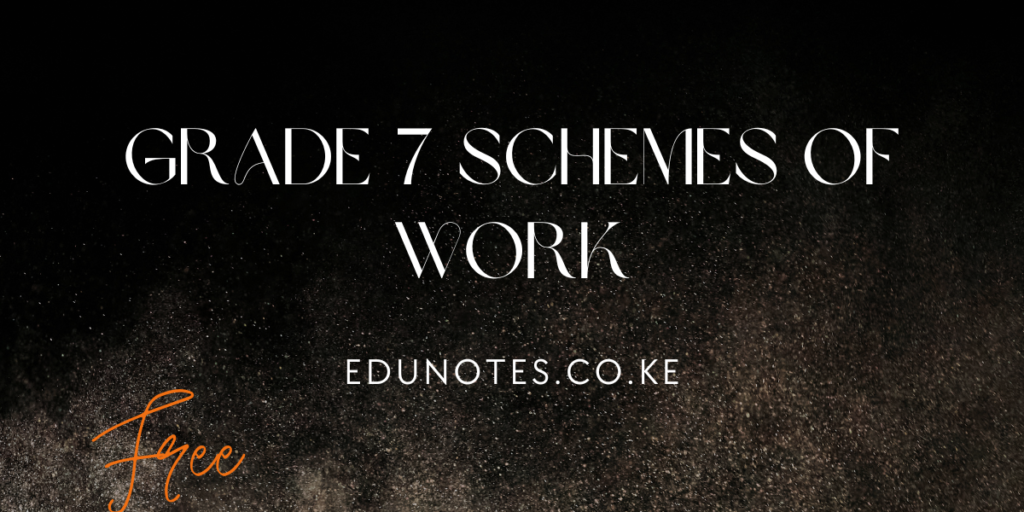 Grade 7 Schemes Of Work