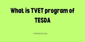 What is TVET program of TESDA