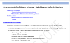 Government and Global Influence in Business Grade 7 Business Studies Revision Notes