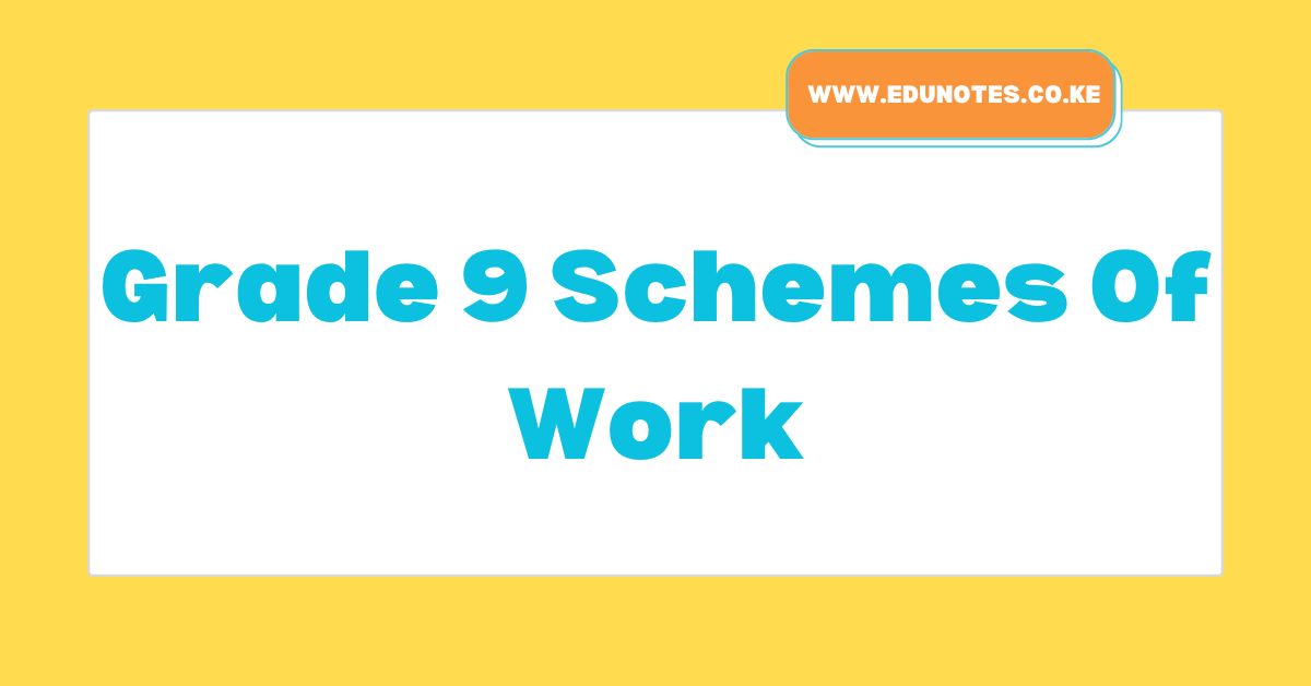 Grade 9 Schemes Of Work