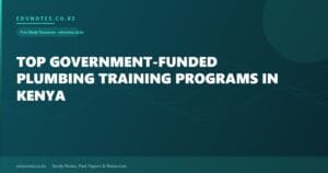 Top Government-Funded Plumbing Training Programs in Kenya