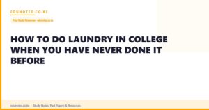 How to Do Laundry in College When You Have Never Done It Before