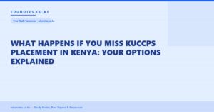 What Happens If You Miss KUCCPS Placement in Kenya: Your Options Explained