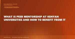 What Is Peer Mentorship at Kenyan Universities and How to Benefit From It